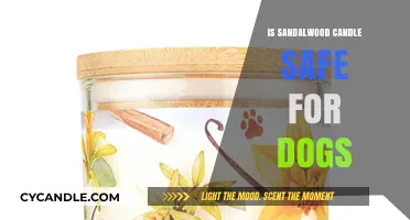 Are Sandalwood Candles Safe for Dogs? A Pet Owner's Guide