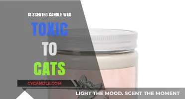 Are Scented Candles Safe for Cats? Wax Toxicity Explained