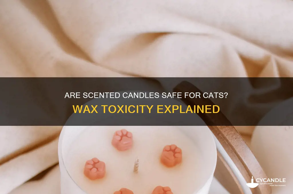is scented candle wax toxic to cats
