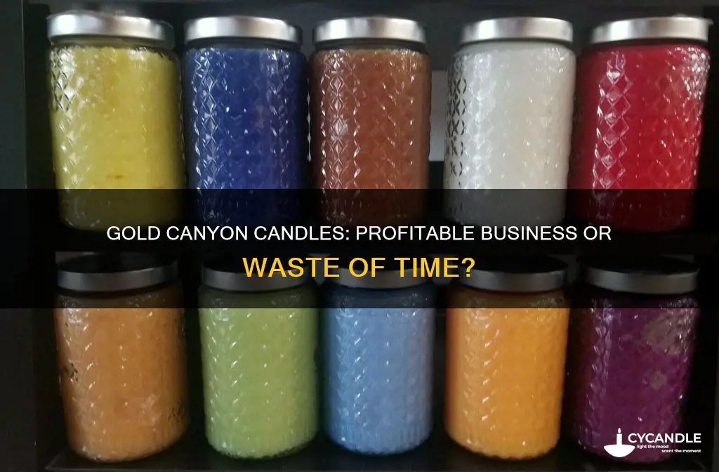 is selling gold canyon candles worth it