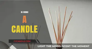 Scented Candles: Are They Worth the Hype?