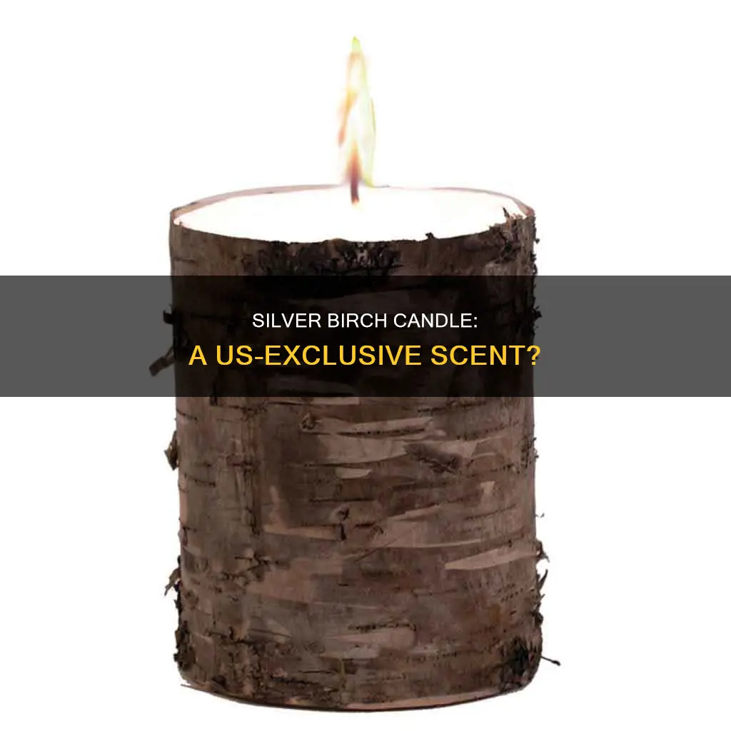 is silver birch candle limited in us
