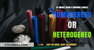 Candle Smoke: Homogeneous or Heterogeneous? Unraveling the Mystery
