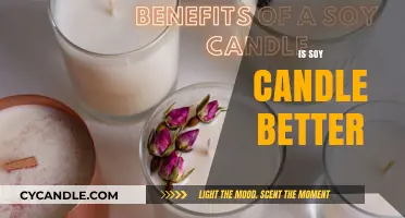 Soy Candles: A Better, Natural Alternative?