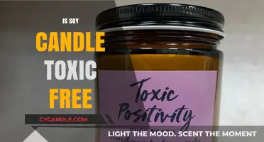 Soy Candles: Are They Toxic-Free?
