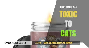Soy Candle Wax and Cats: Uncovering Potential Toxicity Risks