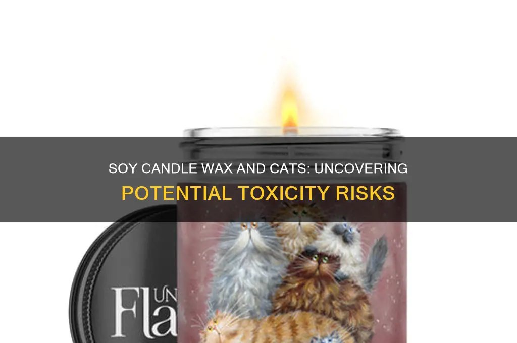 is soy candle wax toxic to cats