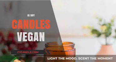 Soy Candles: Are They Vegan?