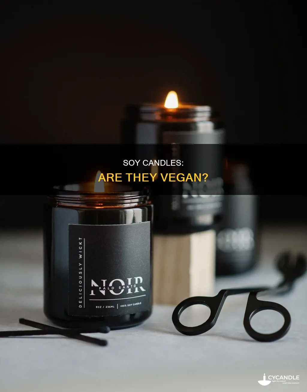 is soy candles vegan