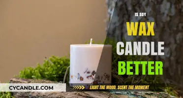 Soy Wax Candles: Are They Truly Better for Your Home and Health?