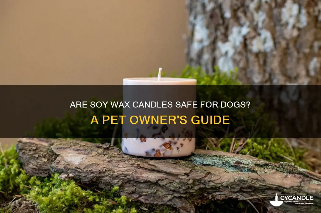 is soy wax candles safe for dogs