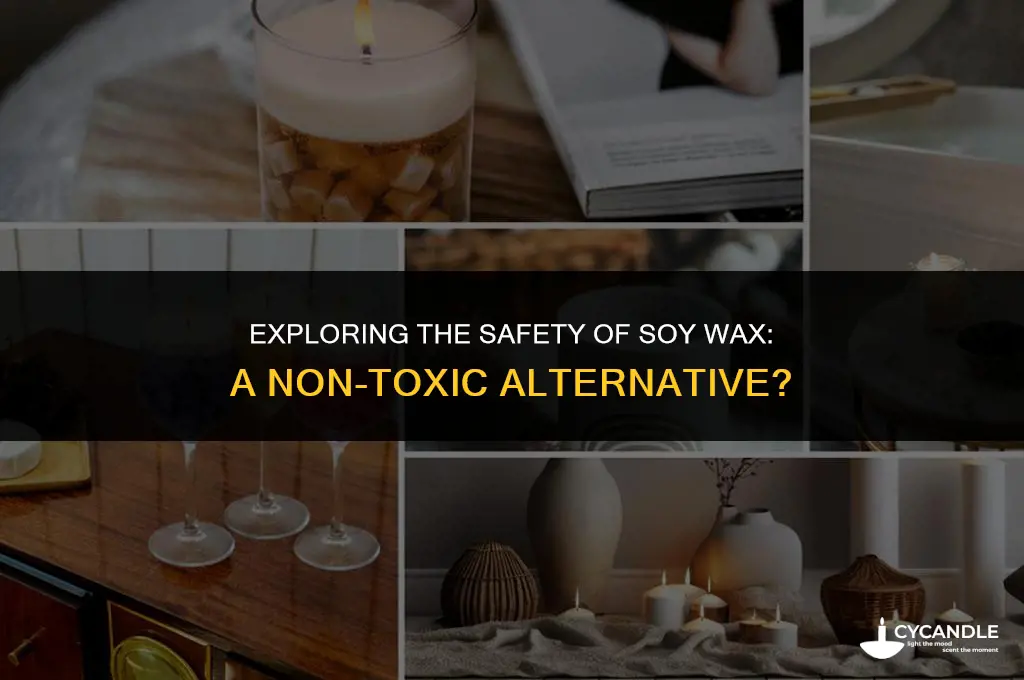 is soy wax non toxic
