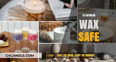 Exploring the Safety and Uses of Soybean Wax: A Comprehensive Guide