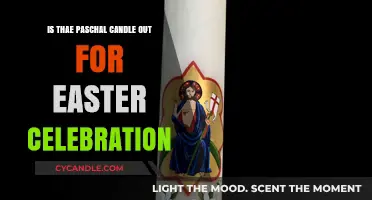 The Easter Triduum: The Paschal Candle's Significance