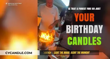 Forest Fire or Birthday Candles: A Climate Change Tale