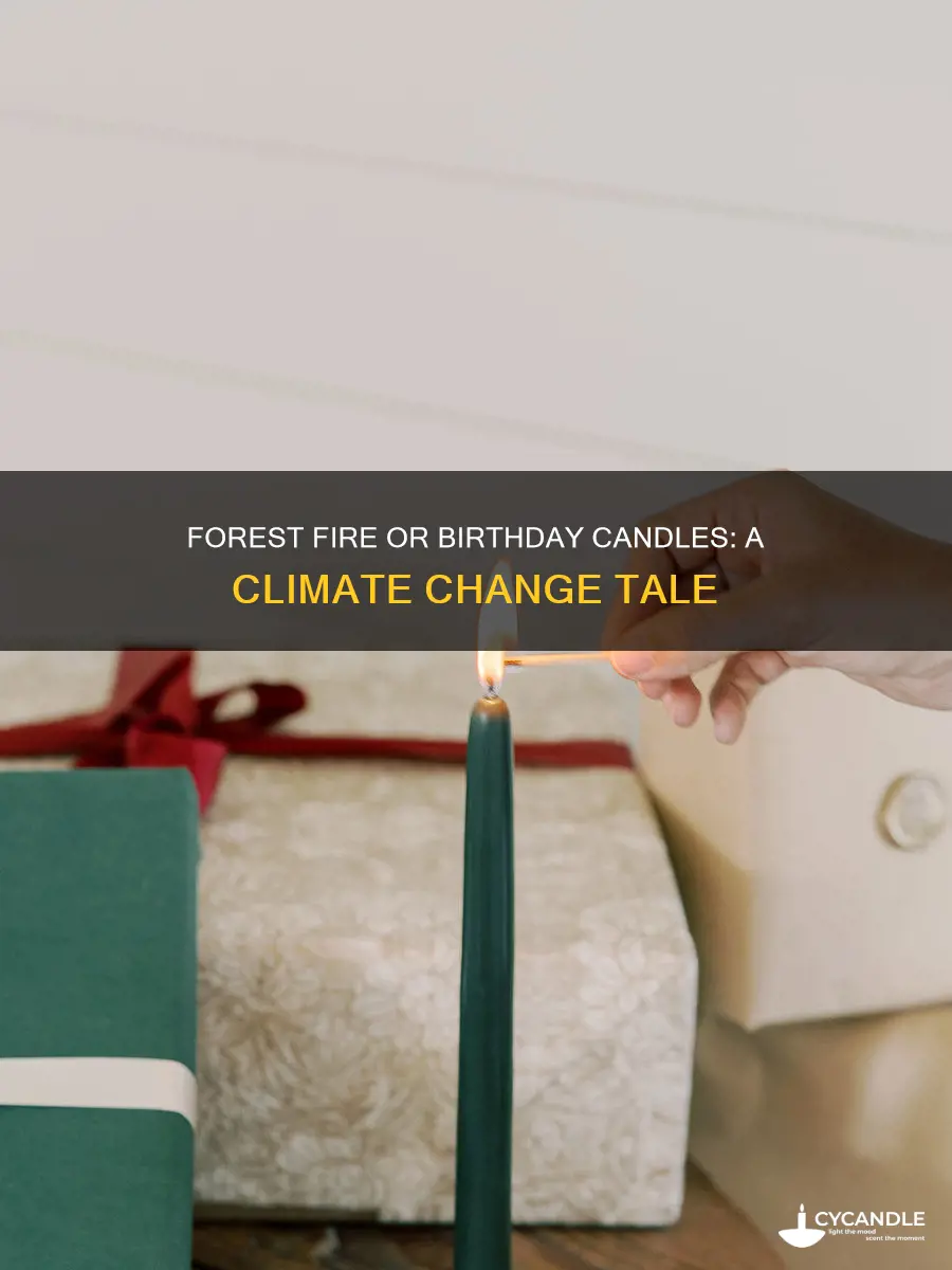 is that a forest fire or just your birthday candles