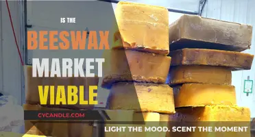 Exploring the Viability of the Beeswax Market: Opportunities and Challenges