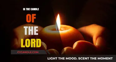 The Lord's Candle: A Light for the World