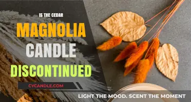Cedar Magnolia Candle: Discontinued or Not?
