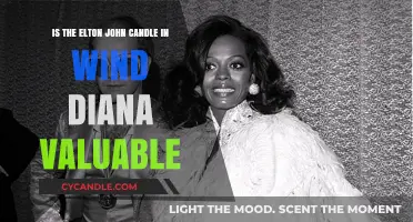 Elton John's "Candle in the Wind": Diana's Valuable Tribute