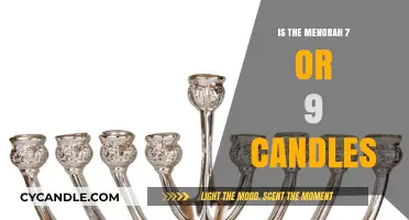 The Menorah: Seven or Nine Candles?