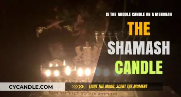 The Center Candle: Shamash or Not?