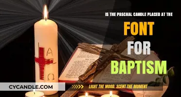The Paschal Candle: Baptism's Illuminating Presence