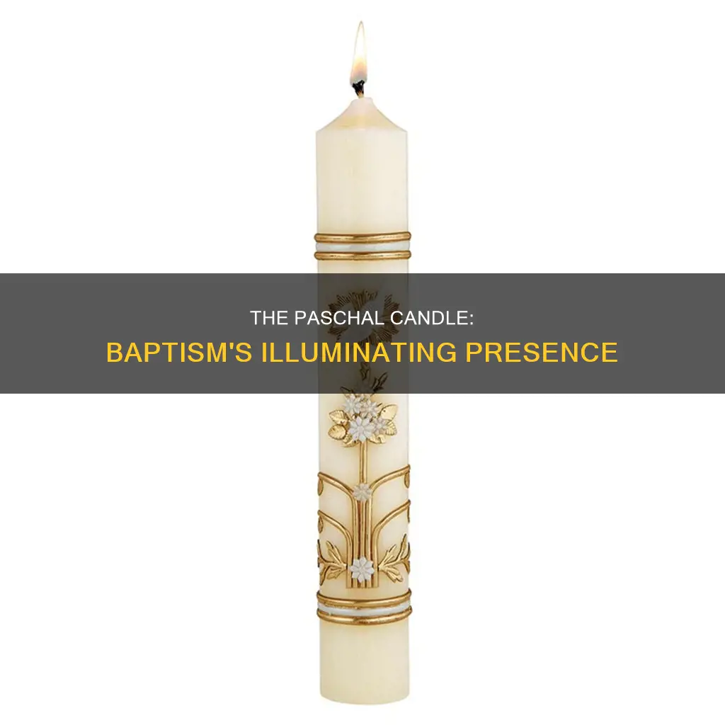 is the paschal candle placed at the font for baptism