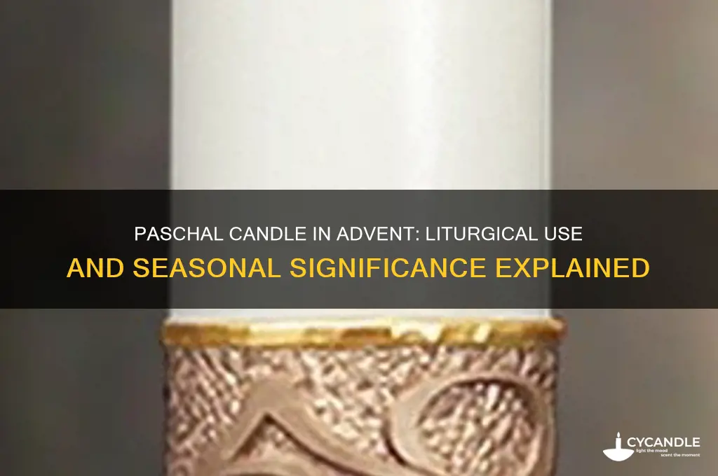 is the paschal candle used during advent