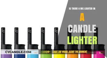 Candle Lighter vs. Bic: Are They the Same Inside?