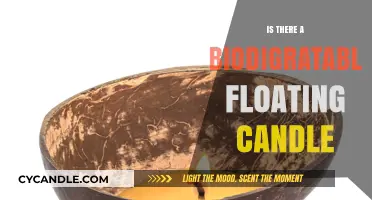 Biodegradable Floating Candles: Are They Real?