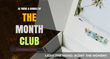 Candle of the Month Clubs: Are They Worth It?