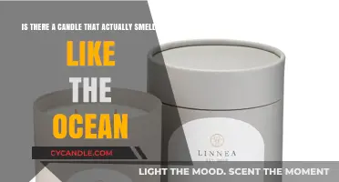 Seeking the Perfect Ocean-Scented Candle: Does it Exist?