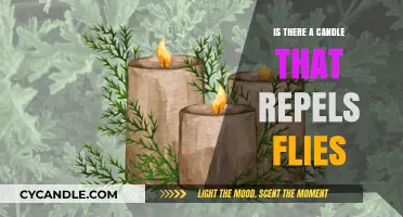 Natural Fly Repellent: The Power of Citronella Candles