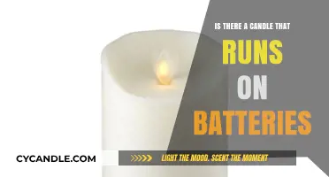 Candlelit Evenings: Battery-Powered Candles for a Magical Ambience