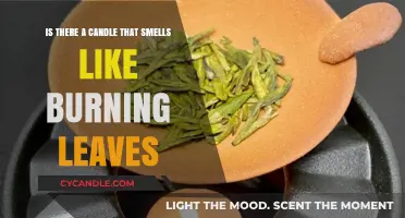 Autumn Ambiance: Discovering Candles That Capture Burning Leaves' Aroma