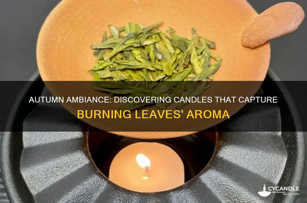 is there a candle that smells like burning leaves