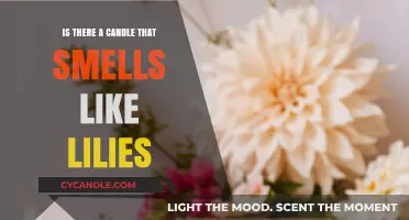 Candles With Lily Scents: The Best Options