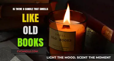 Candles That Evoke the Aroma of Vintage Books