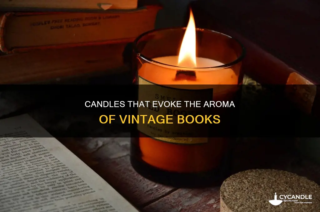 is there a candle that smells like old books
