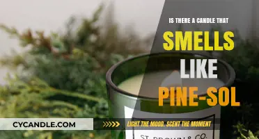 Pine-Sol Scented Candles: Do They Exist?