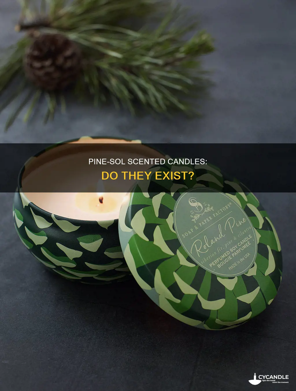 is there a candle that smells like pine-sol