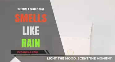The Best Rainy Day Scent: Candles That Smell Like Rain
