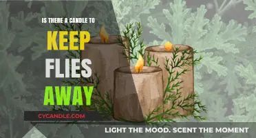 Keep Flies Away: The Best Scented Candles