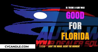 Sunshine State Shine: The Best Car Wax for Florida's Climate
