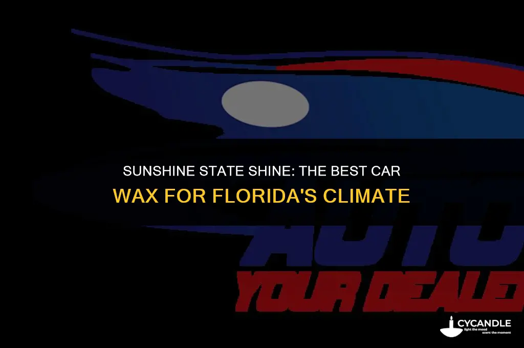 is there a car wax good for florida