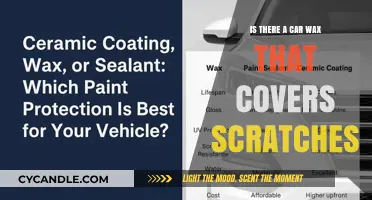Scratch-Proof Shine: The Quest for the Ultimate Car Wax