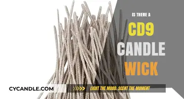 CD9 Candle Wick Mystery: Unveiling the Truth Behind the Rumors