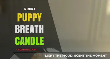 Puppy Breath Candle: A Whiff of Nostalgia