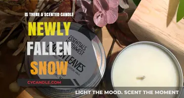 Newly Fallen Snow Scented Candles: Myth or Winter Wonderland Reality?